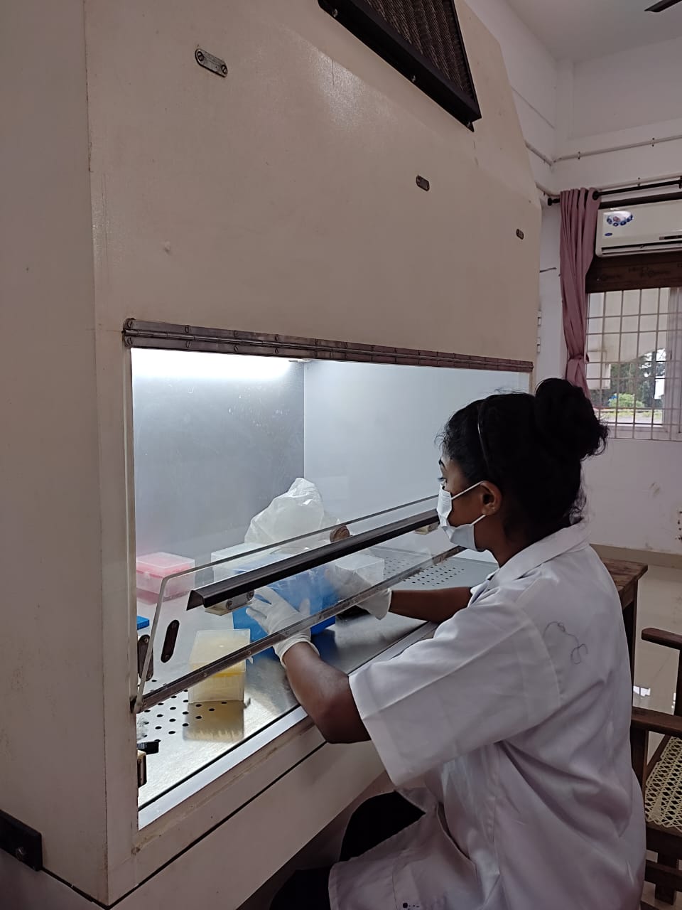 Biosafety Cabinet 1