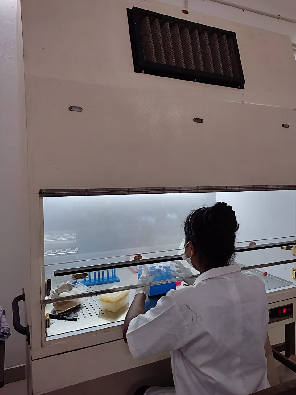 Biosafety Cabinet 2